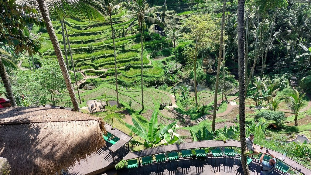 陽光下深山中的領受